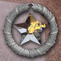 Венок вечный огонь чугун звезда нержавеющая сталь в Ростове-на-Дону (518577)