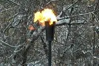 Факел садовый январь 2012 (197221) производство ø 65 мм. ветроустойчивая  в Ростове-на-Дону