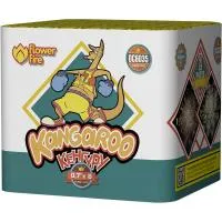 Батарея салютов Кенгуру ОС6035 купить от производителя Огненный Цветок — Ростов-на-Дону