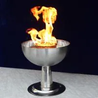 Чаша торжественный огонь (197218) производство для огня ø 320 мм. ветроустойчивая  в Ростове-на-Дону